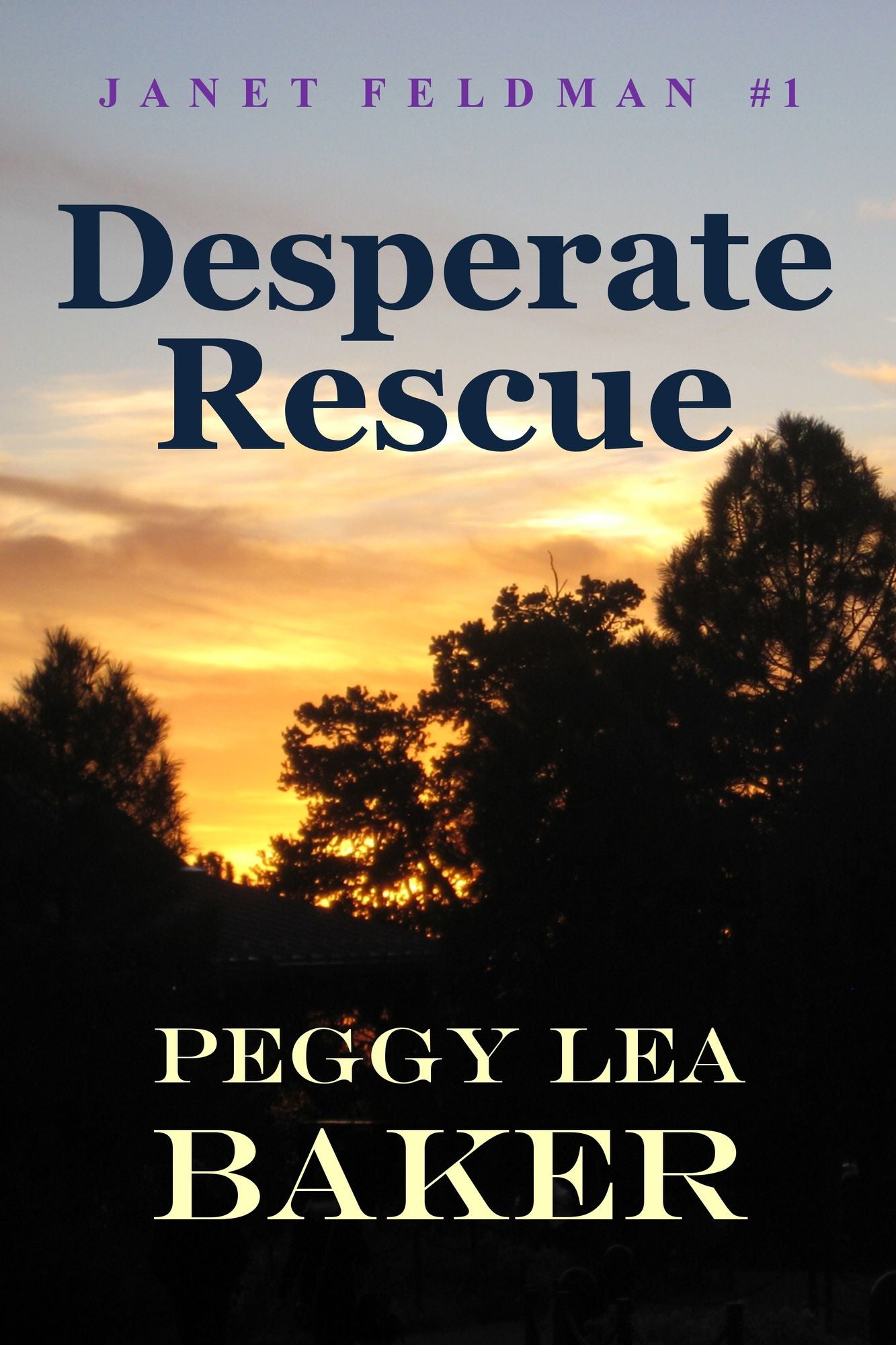 Desperate Rescue: Janet Feldman Series