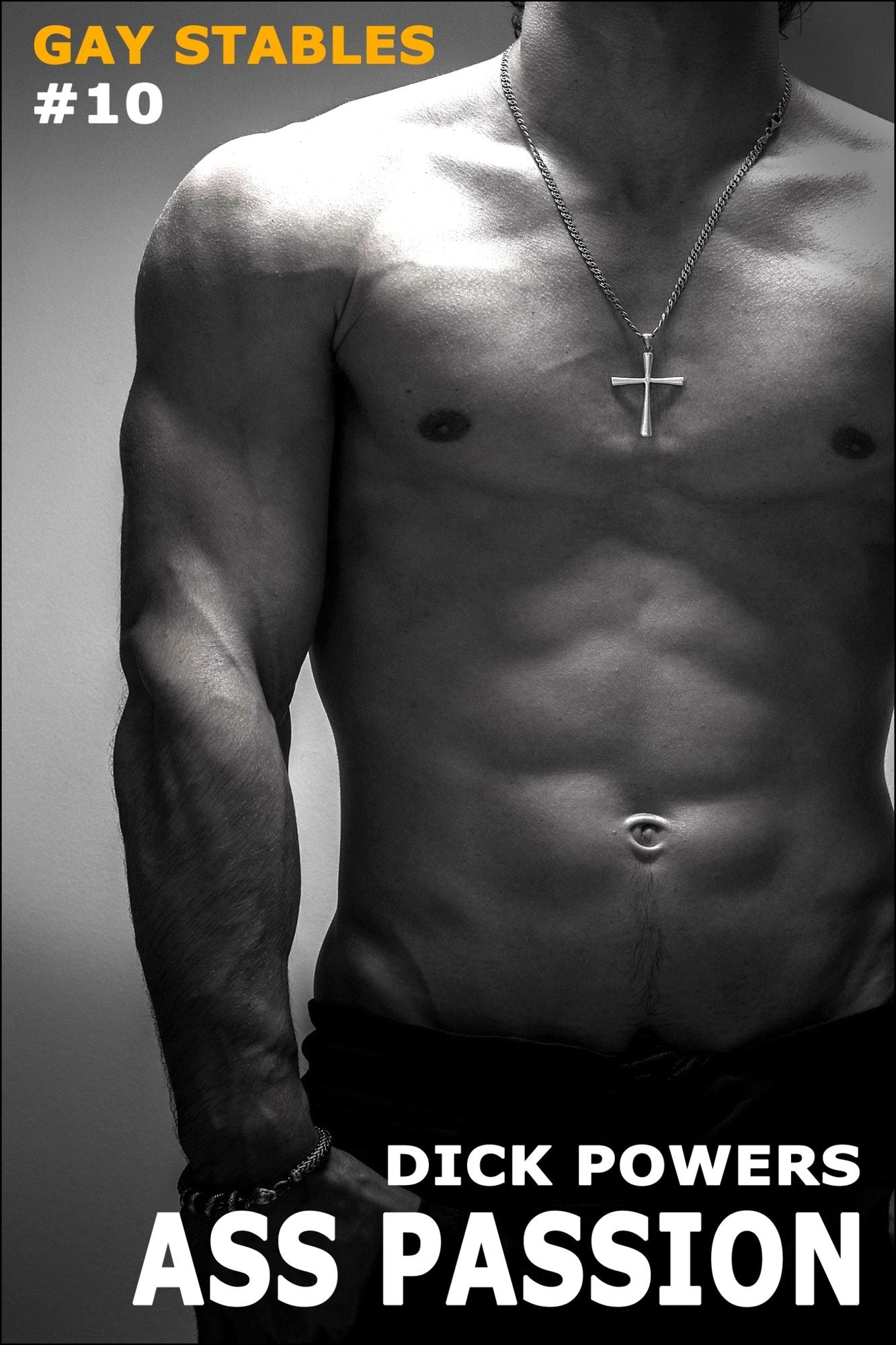 Ass Passion (Gay Stables #10)