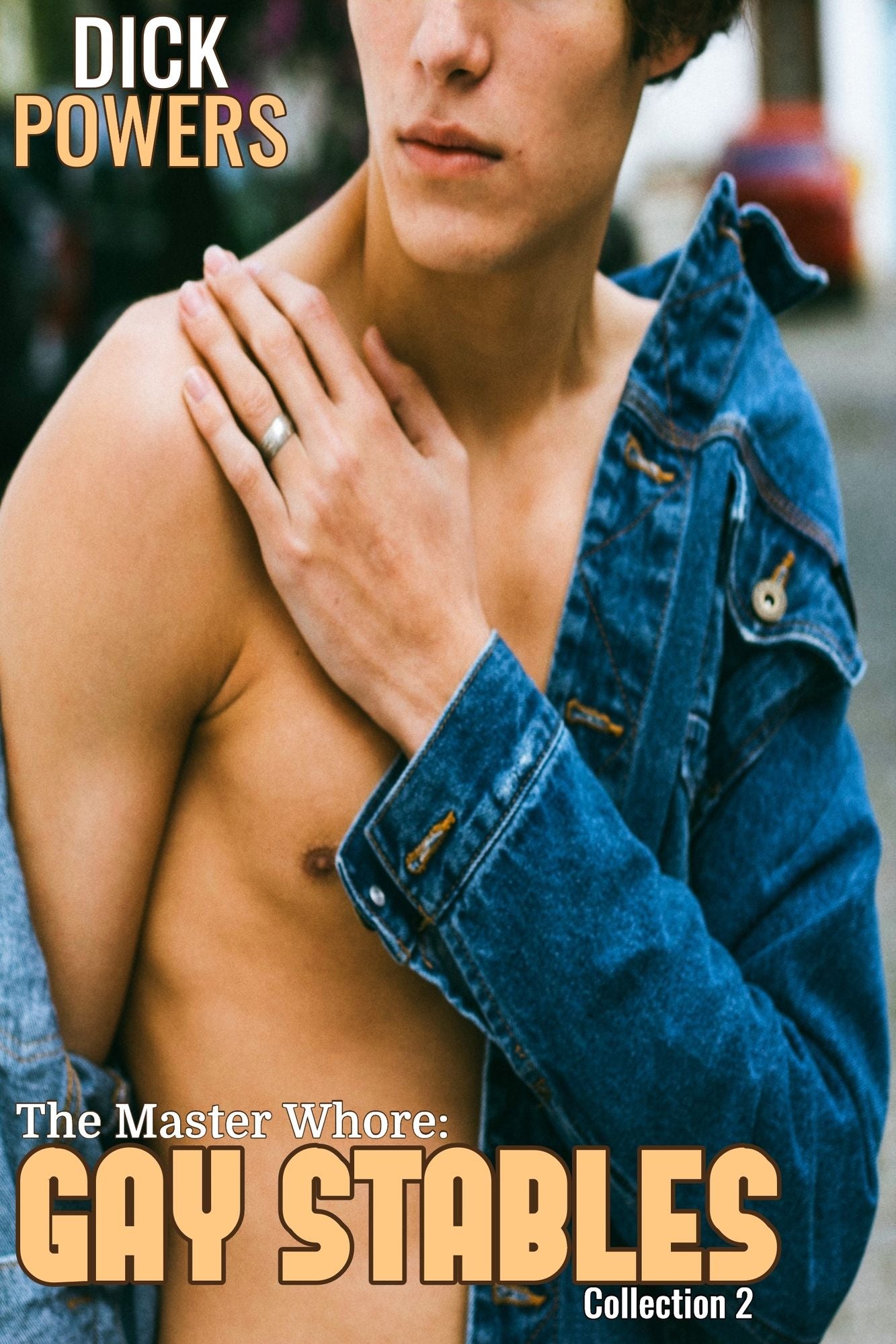 Gay Stables: The Collection #2 (Stories 5-8)