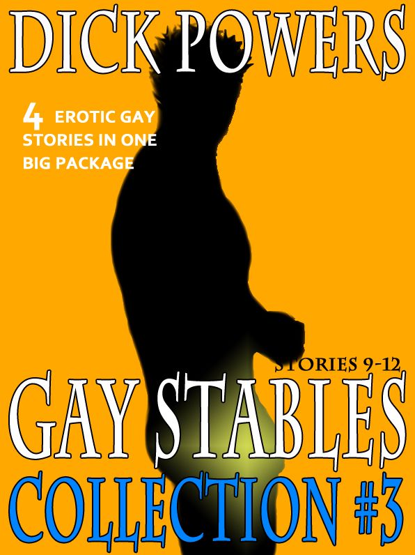 Gay Stables: The Collection #3 (Stories 9-12)