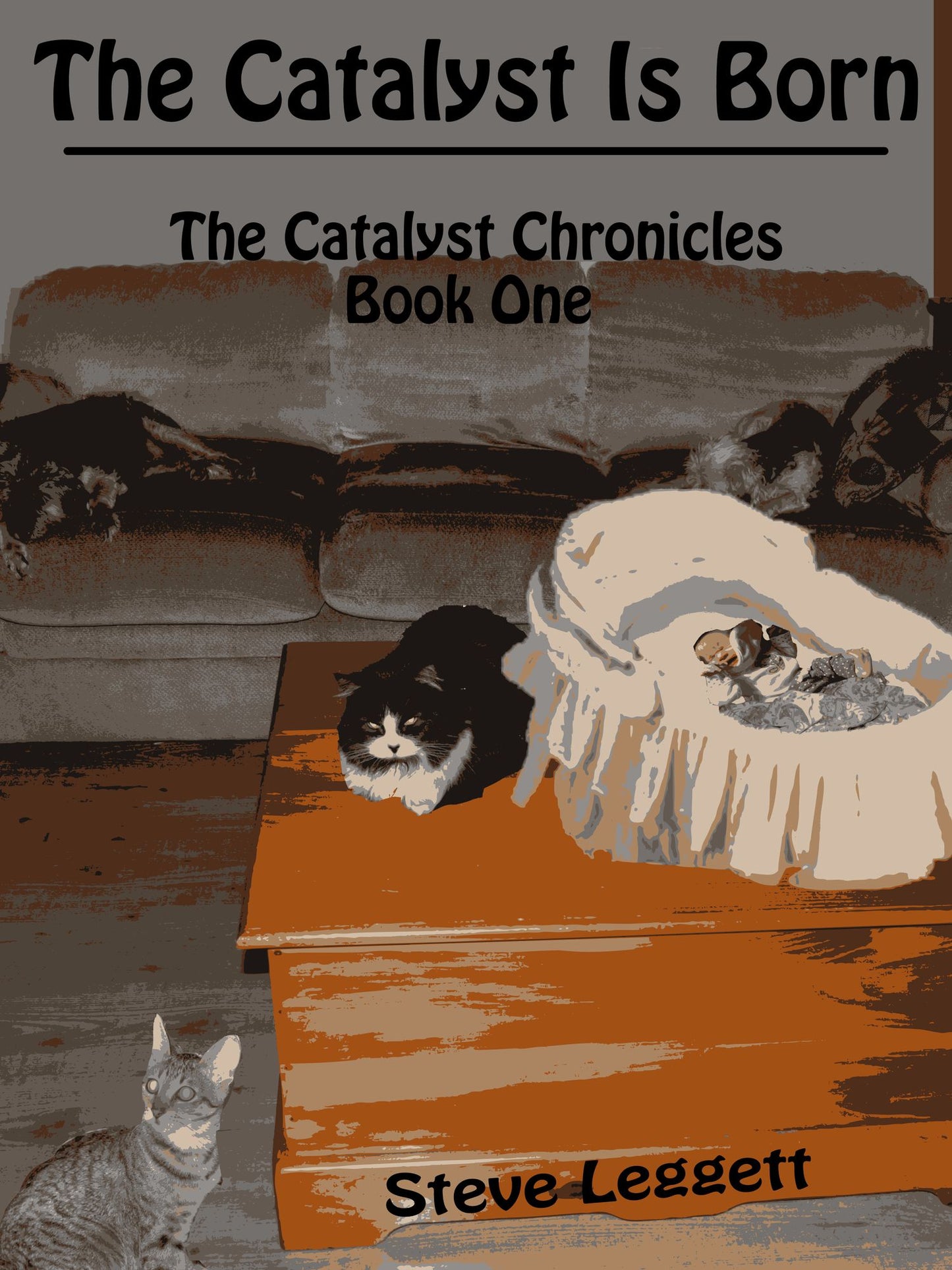 The Catalyst is Born: The Catalyst Chronicles - Book One