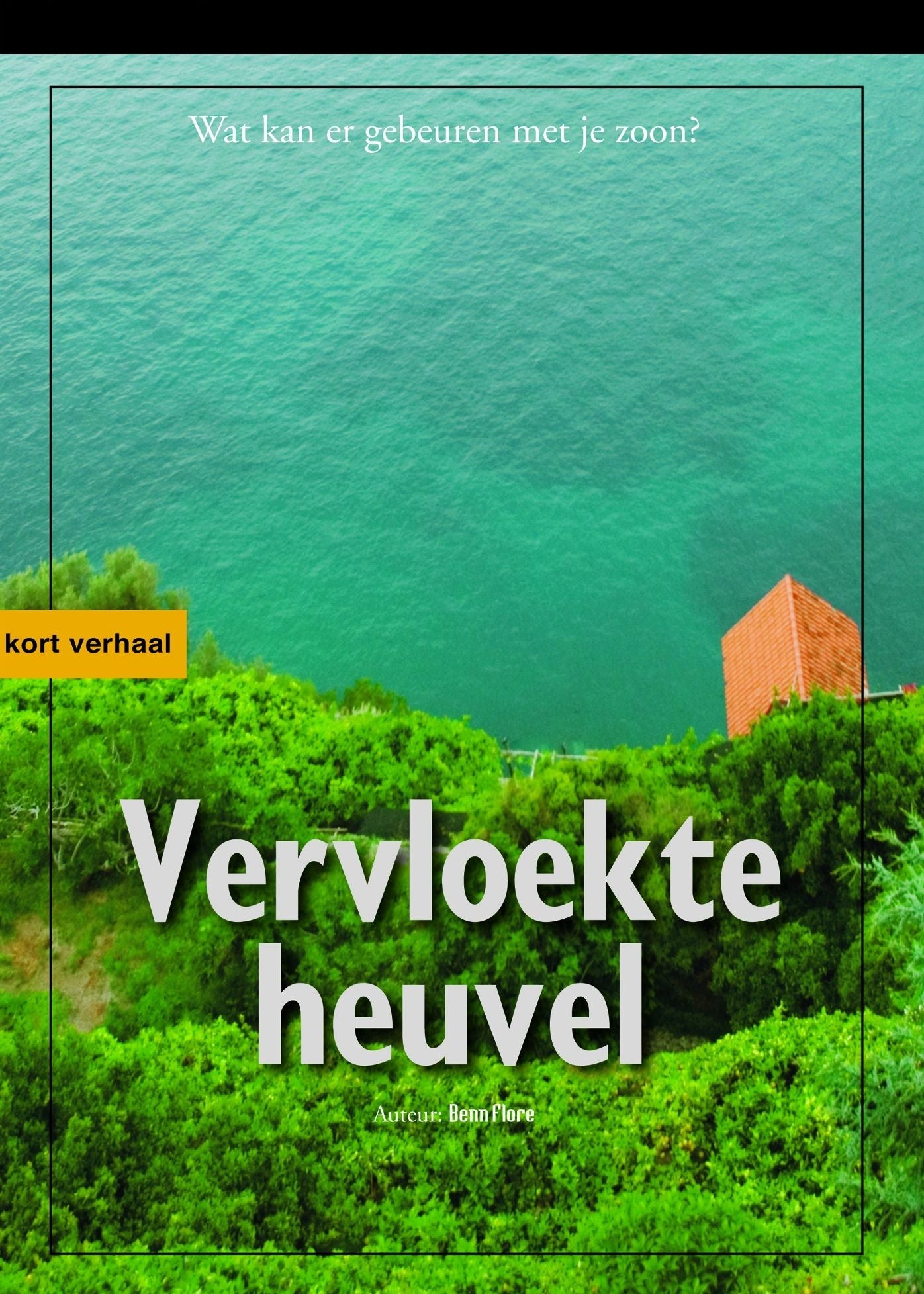 Vervloekte Heuvel Nederlandse editie