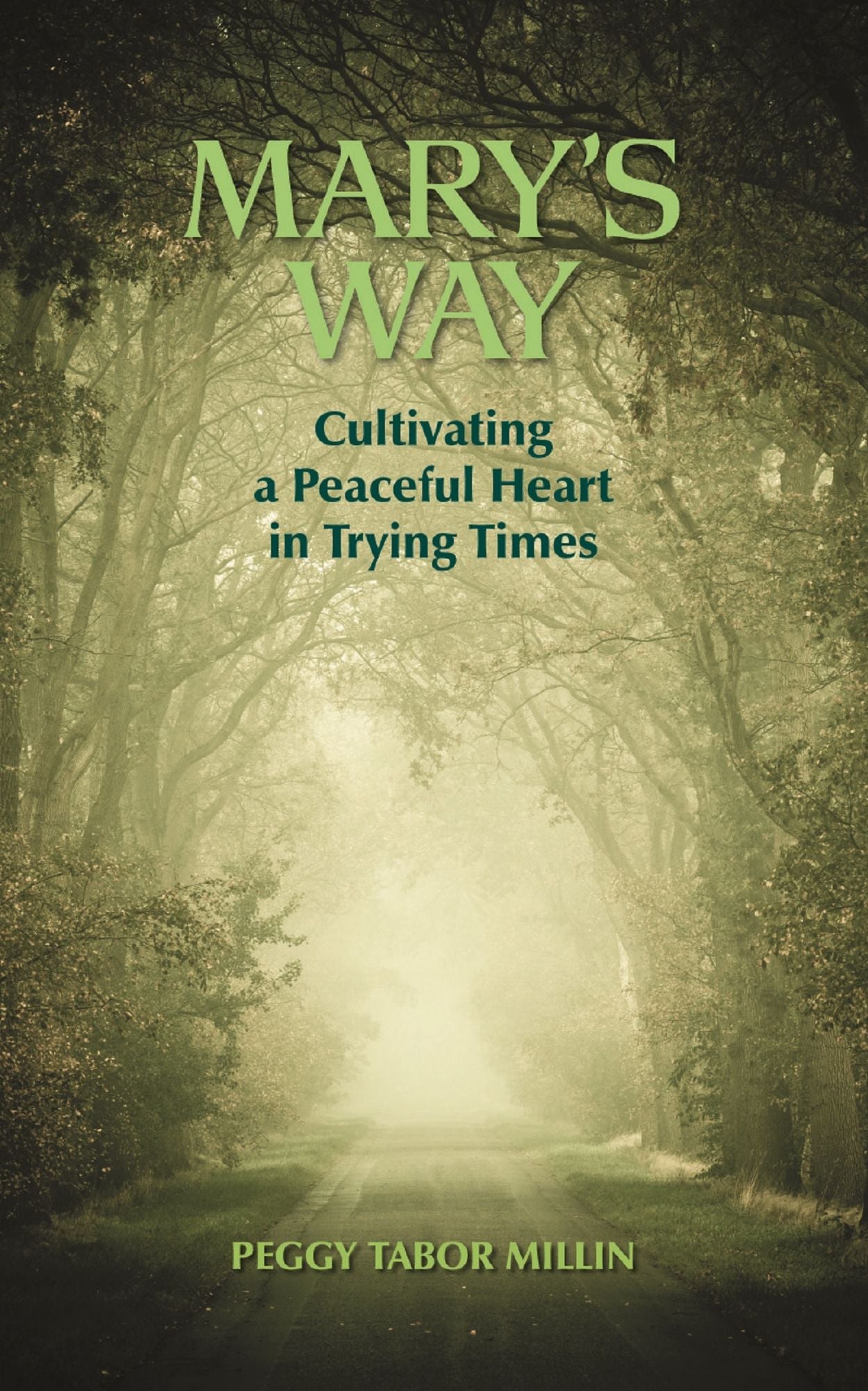 Mary's Way: Cultivating a Peaceful Heart in Trying Times