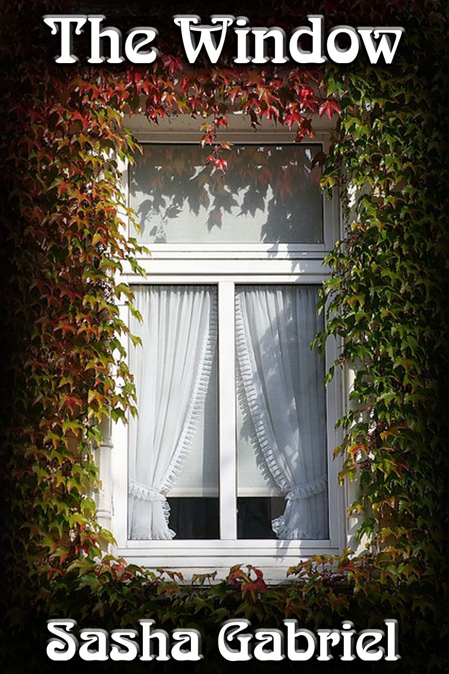 The Window
