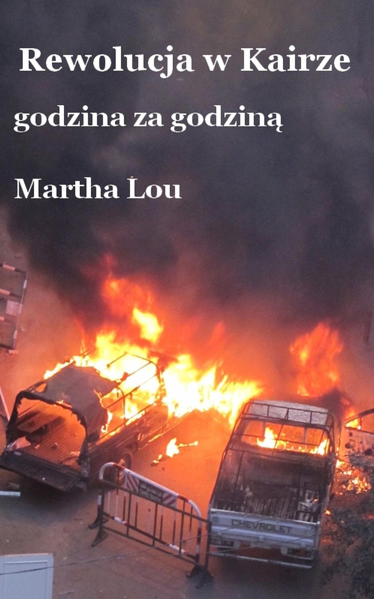 Rewolucja w Kairze (godzina za godzina)