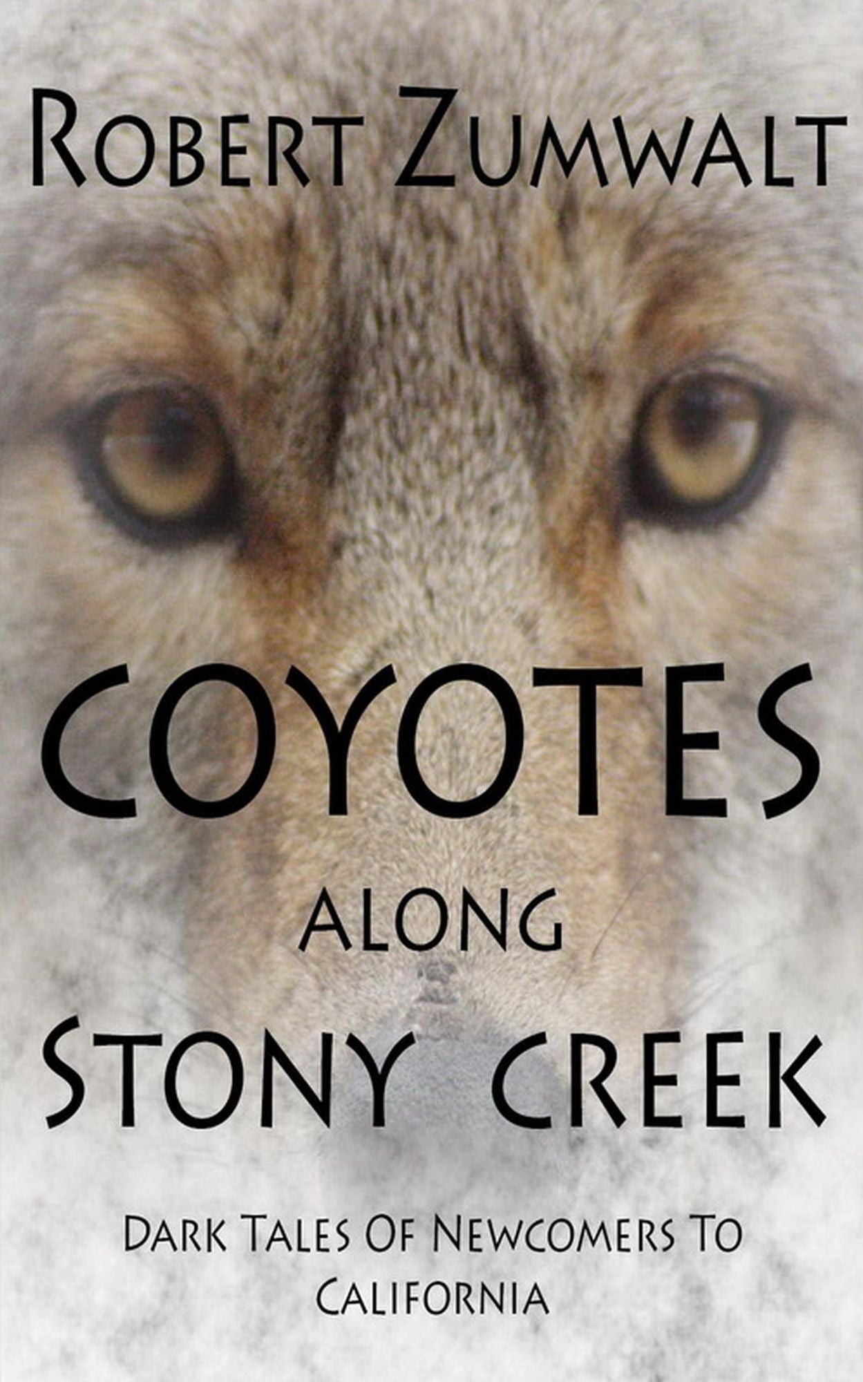 Coyotes Along Stony Creek