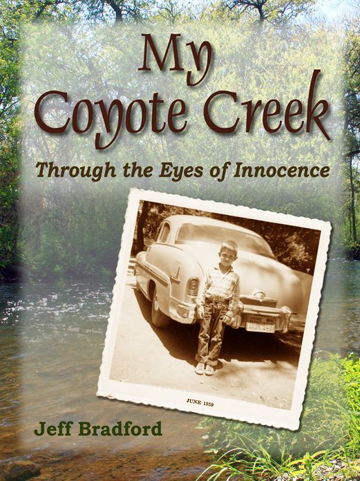My Coyote Creek
