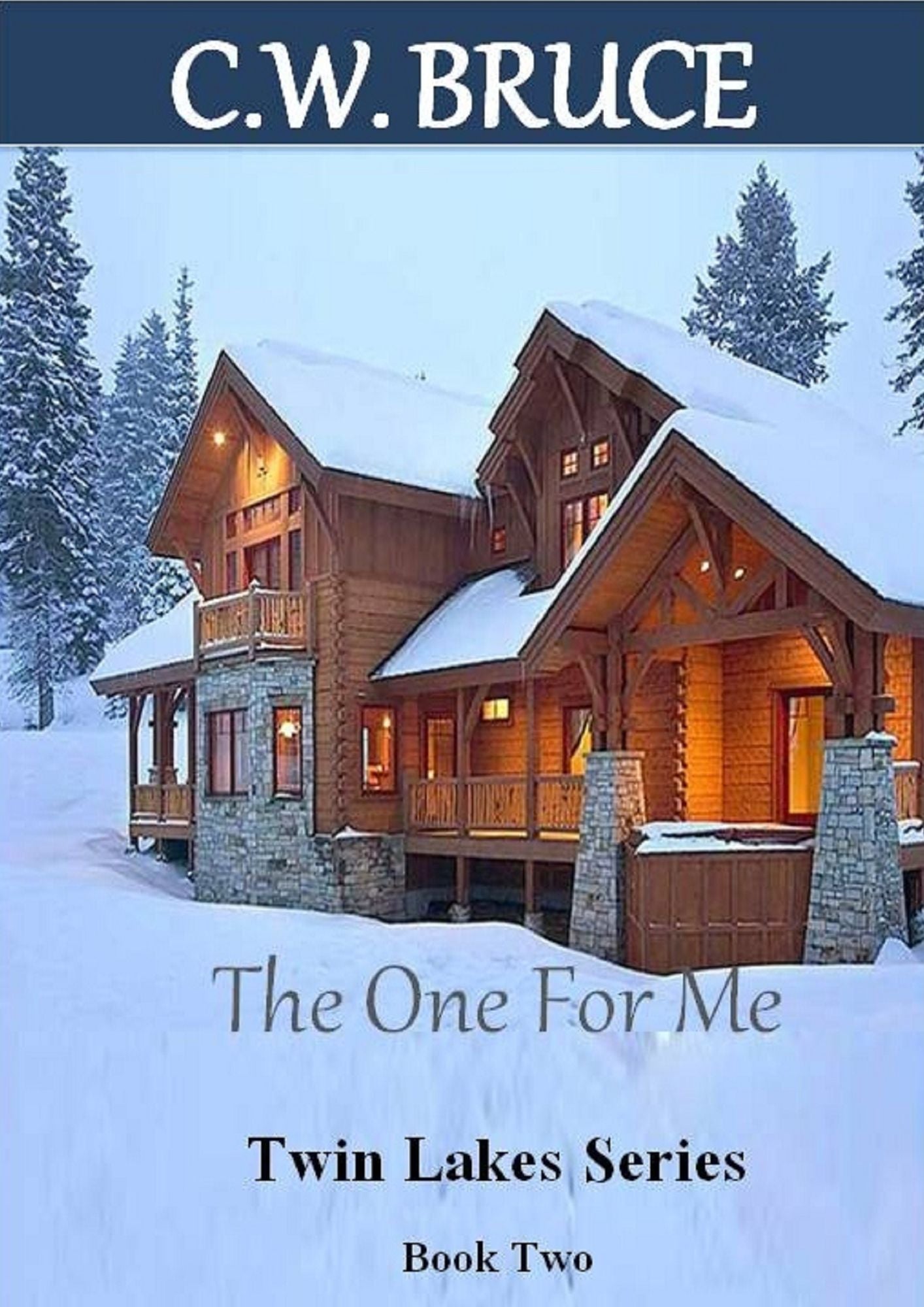 The One For Me: Twin Lakes Series Book 2