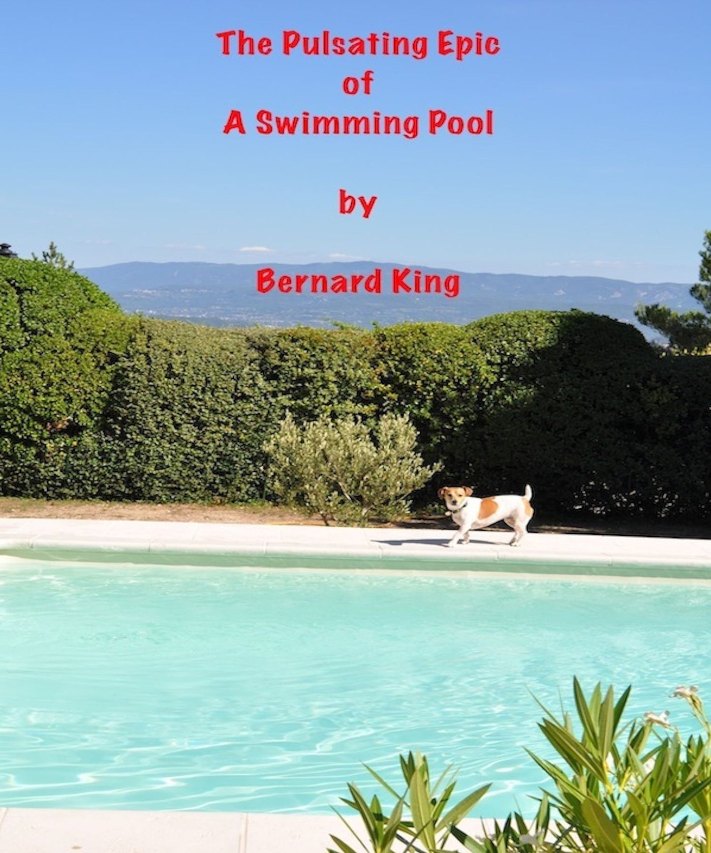 The Pulsating Epic Of A swimming Pool