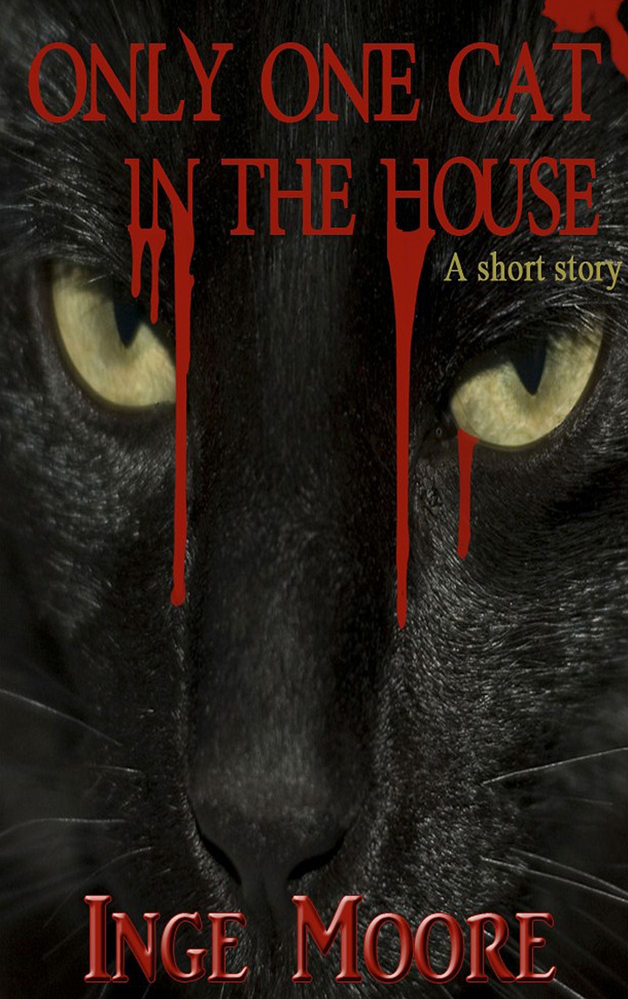 Only One Cat In the House