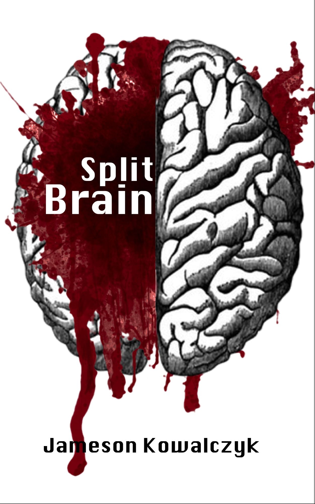 Split Brain (A Short Story)