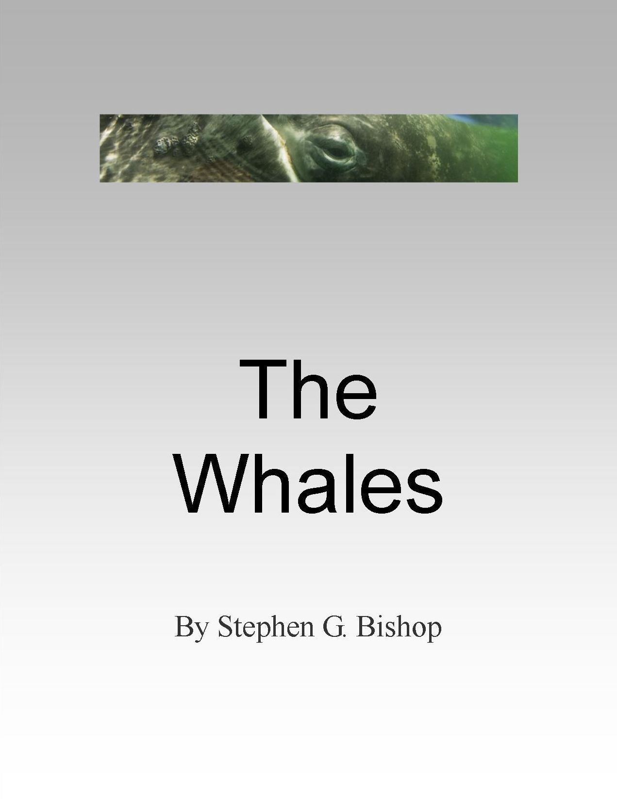 The Whales