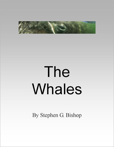 The Whales