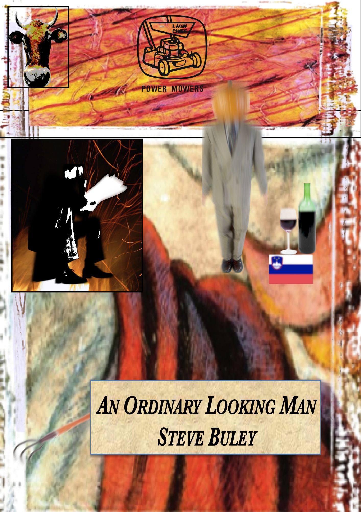 An Ordinary Looking Man
