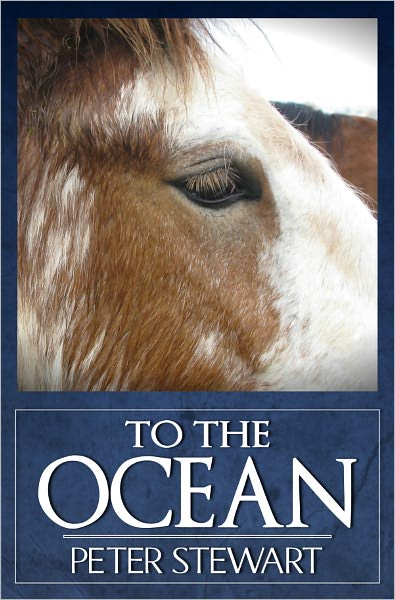 To The Ocean