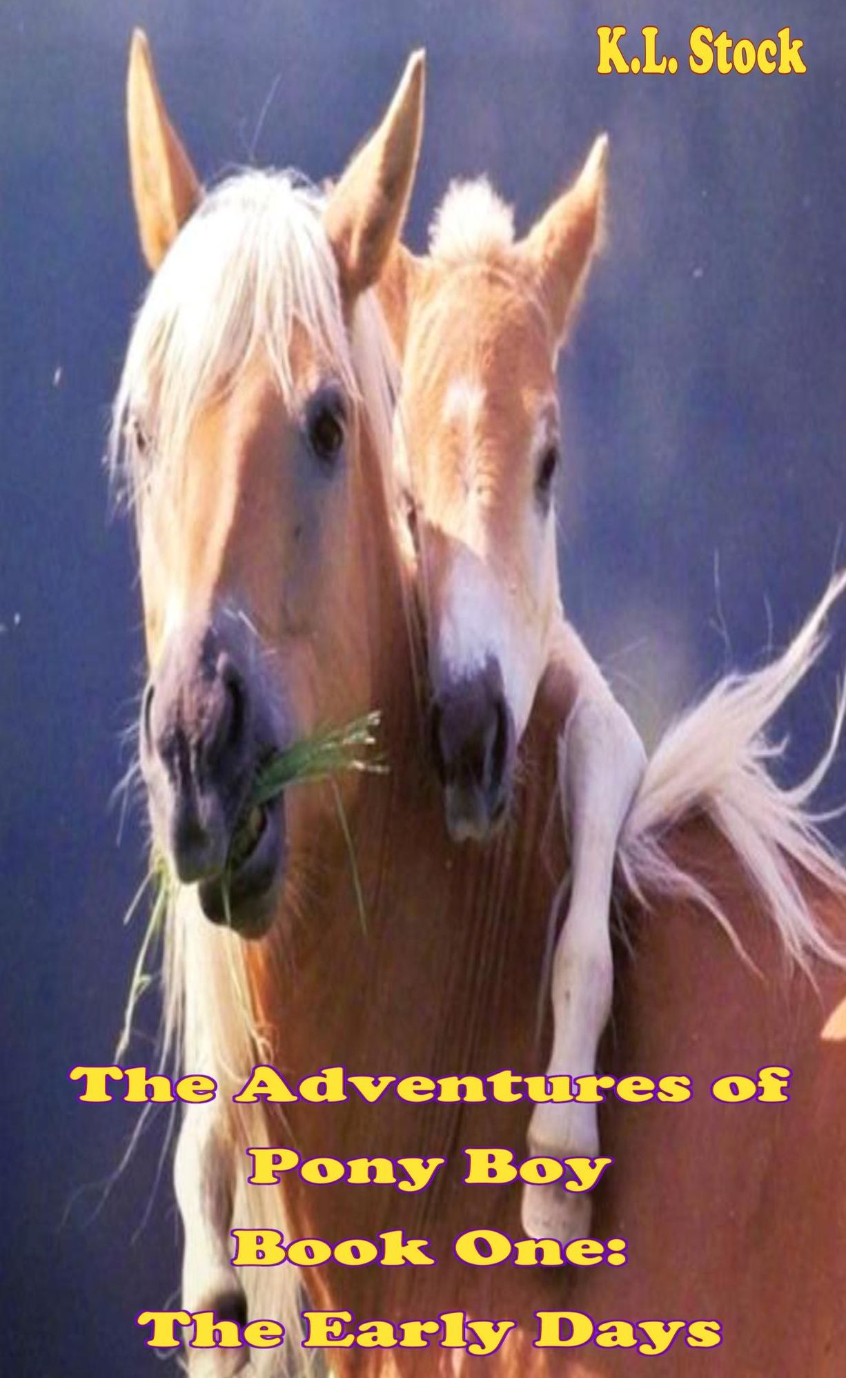 The Adventures of Pony Boy, Book One: The Early Days
