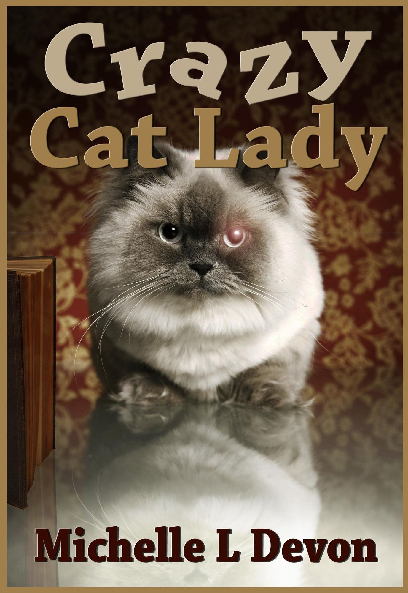 Crazy Cat Lady