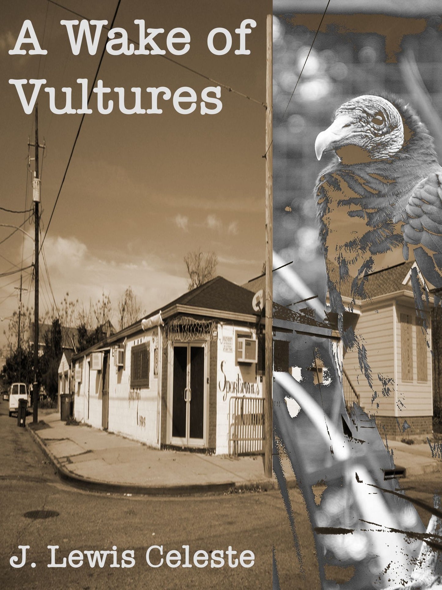 A Wake of Vultures