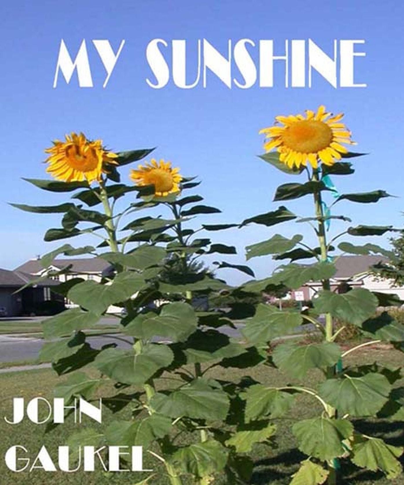 My Sunshine