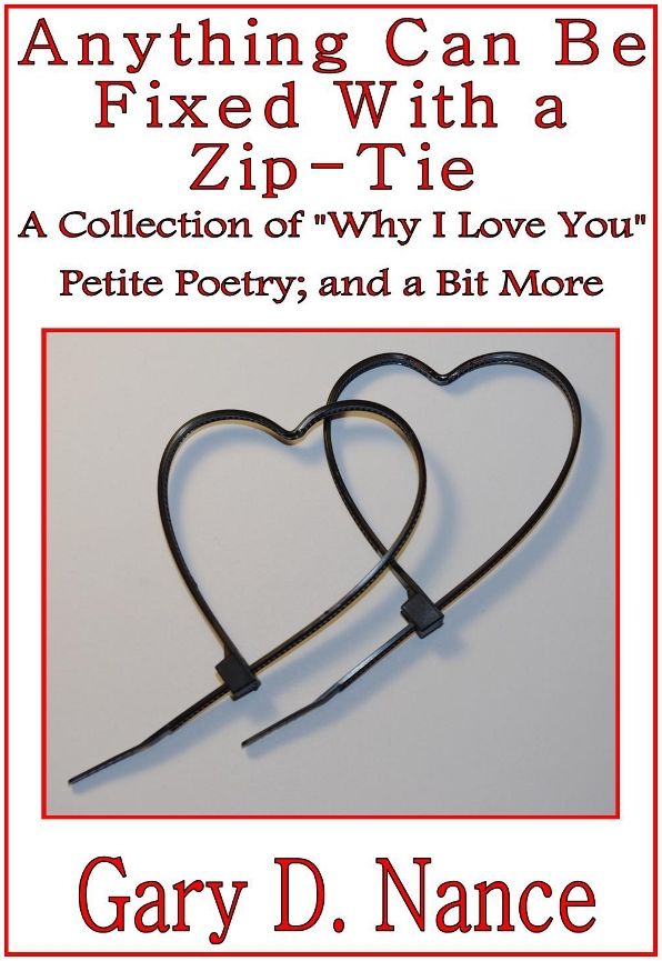 Anything Can Be Fixed With a Zip-Tie