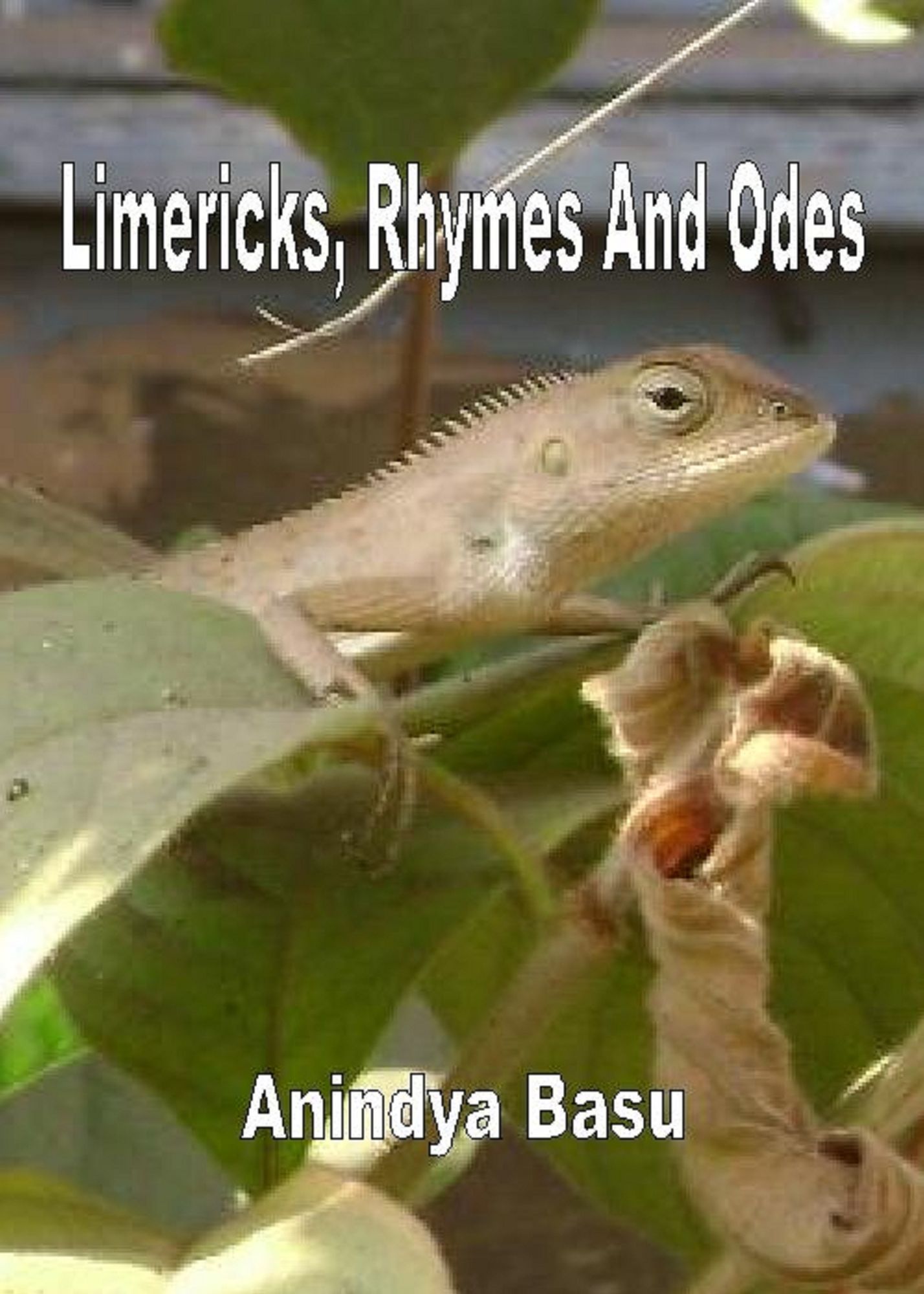 Limericks, Rhymes And Odes
