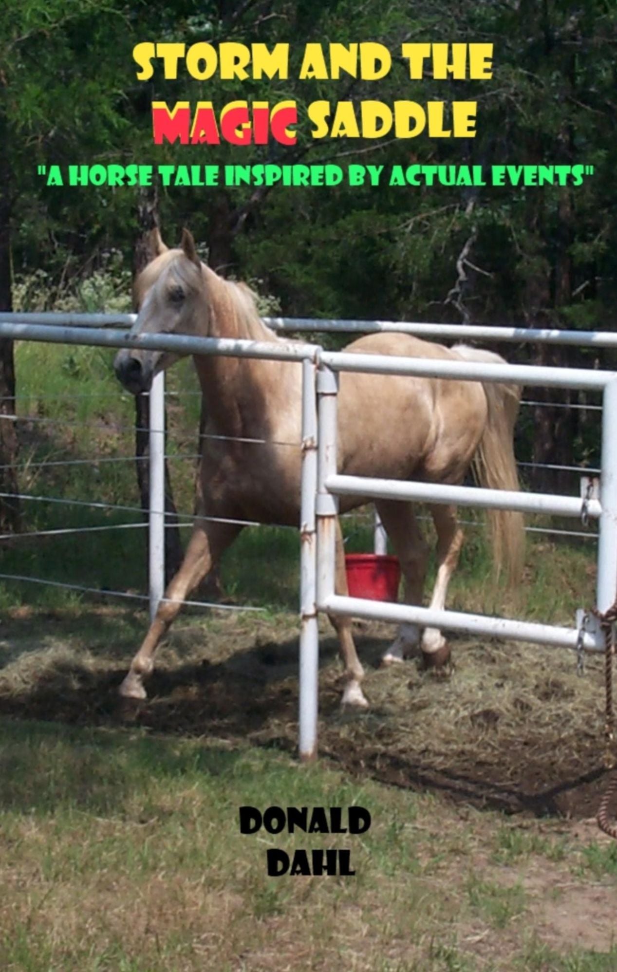 Storm and the Magic Saddle