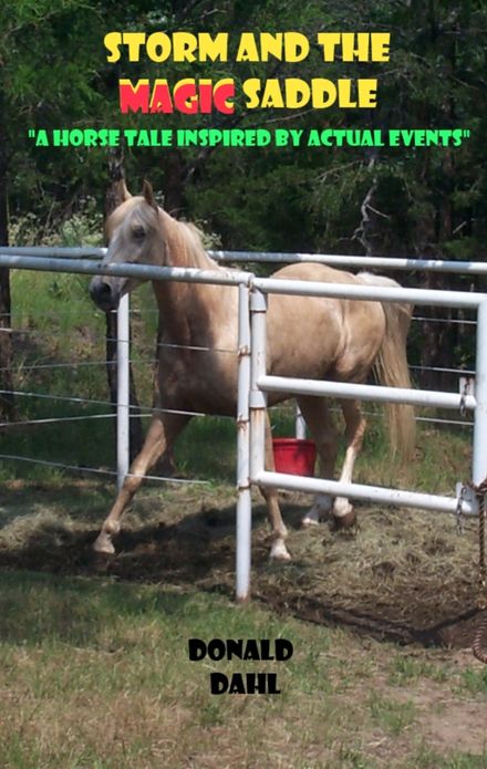 Storm and the Magic Saddle