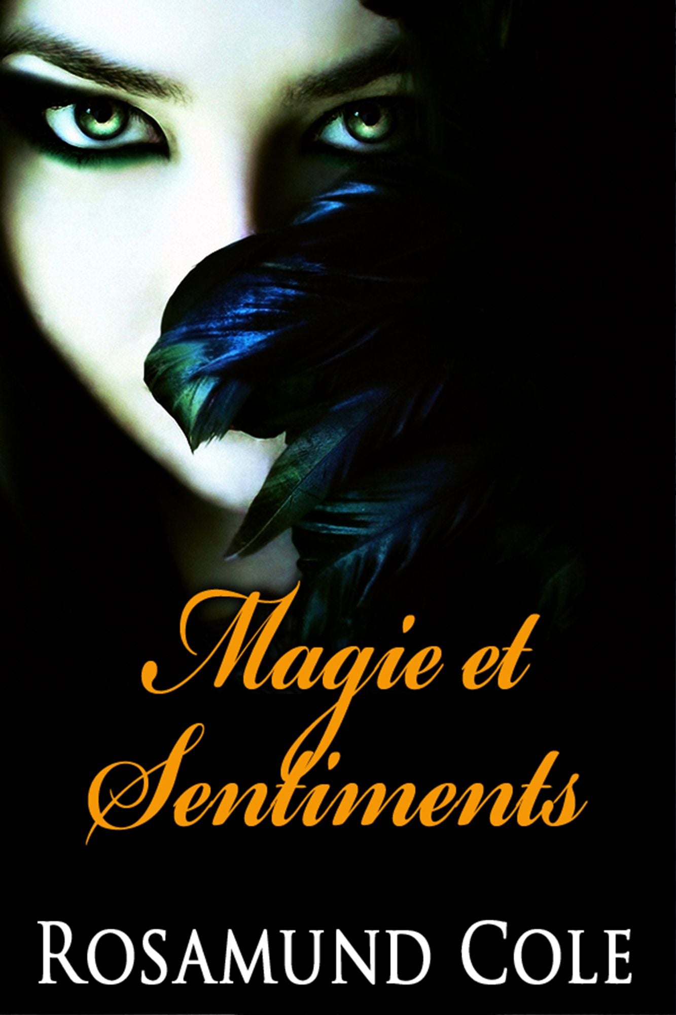 Magie et Sentiments