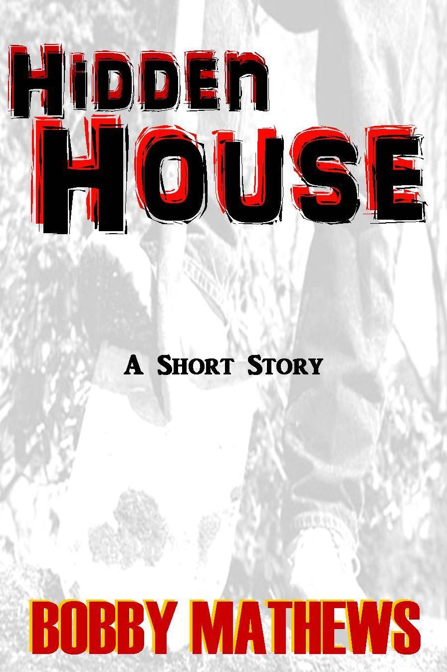 Hidden House