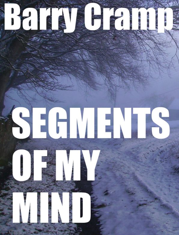 Segments Of My Mind