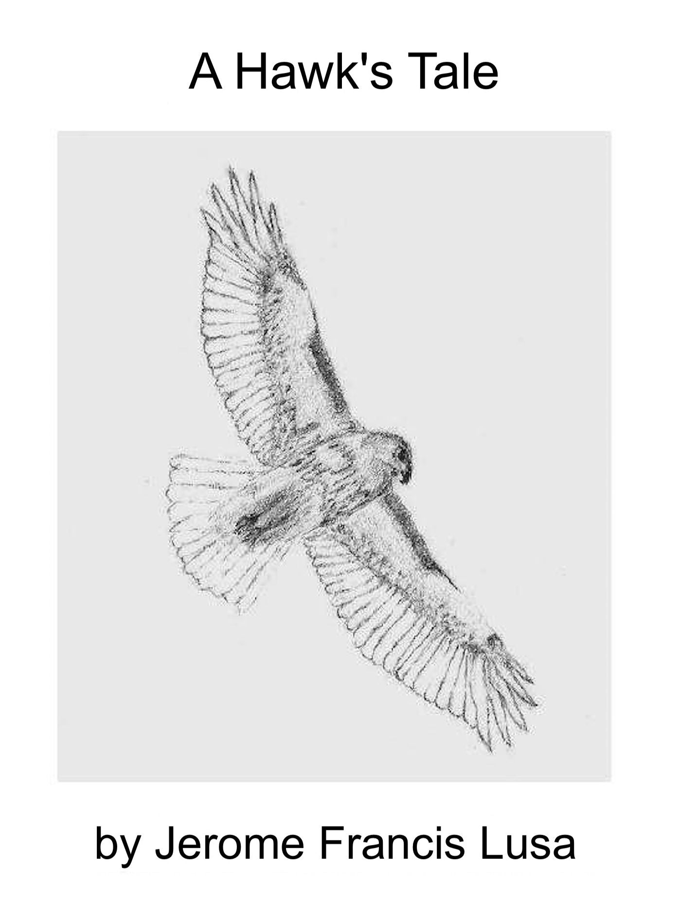 A Hawk's Tale