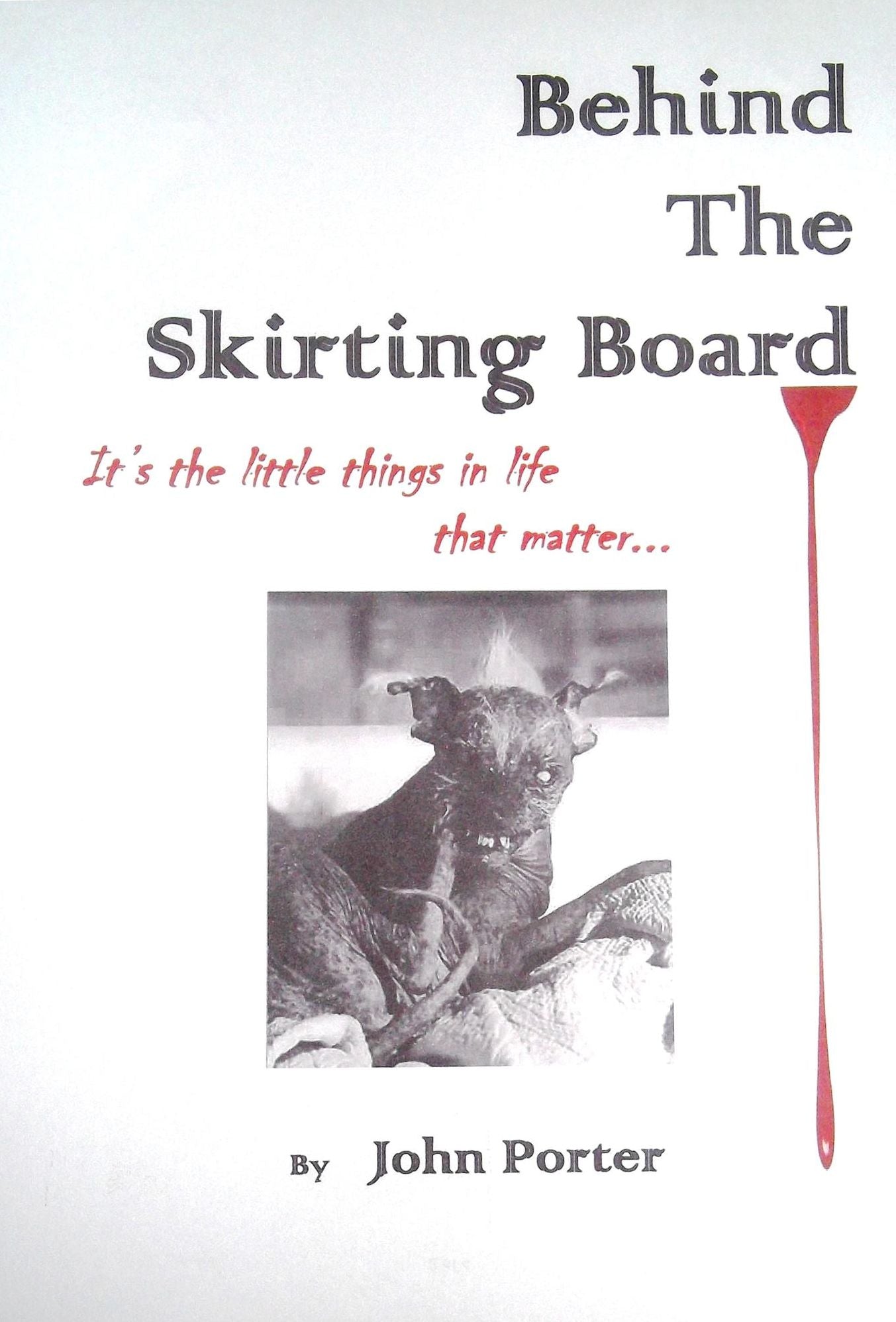 Behind The Skirting Board