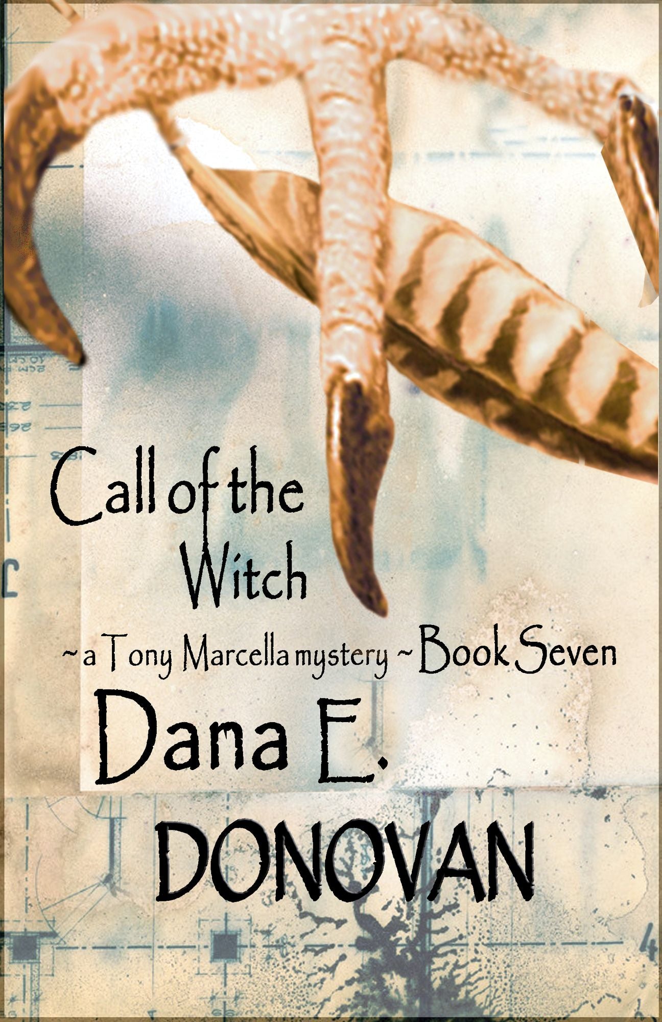 Call of the Witch (Paranormal Detective Mystery series, book 7)