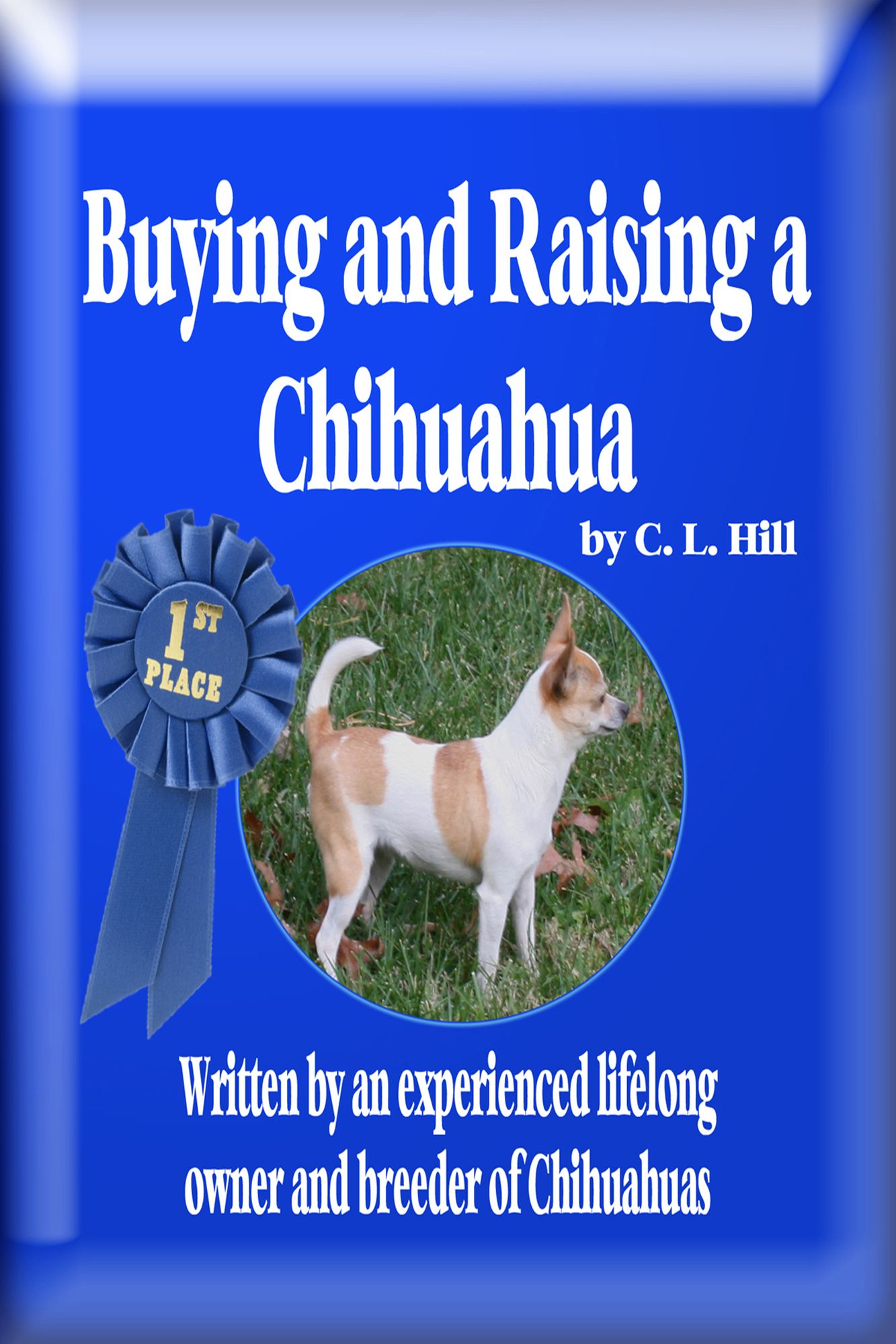 Buying and Raising a Chihuahua