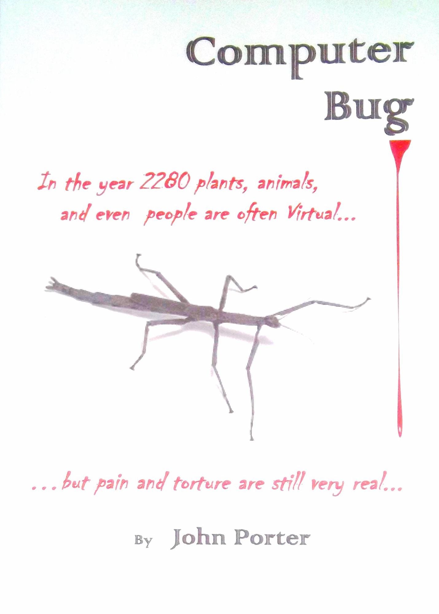 Computer Bug