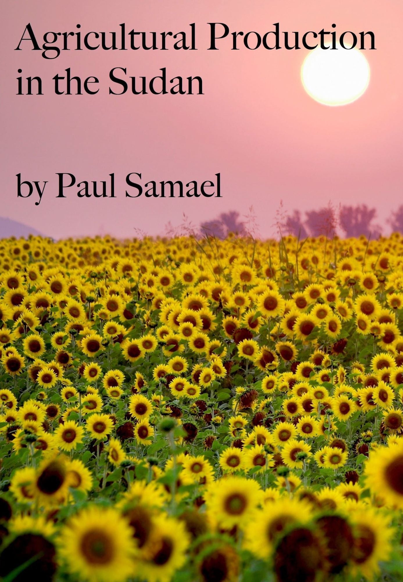 Agricultural Production in the Sudan