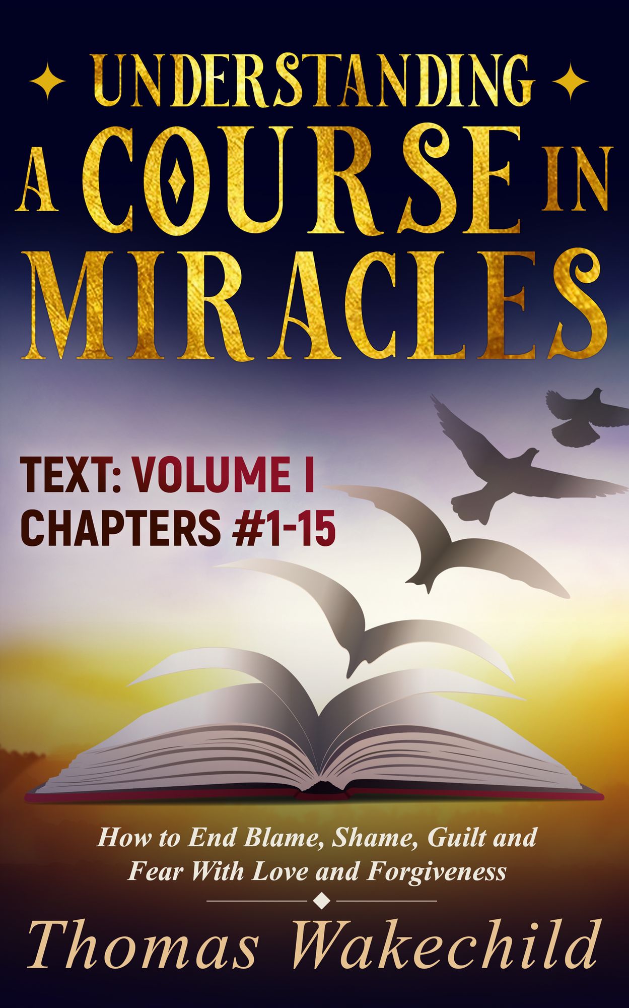 A Course In Miracles For Dummies: Volume 1 -Text Chapters #1-15