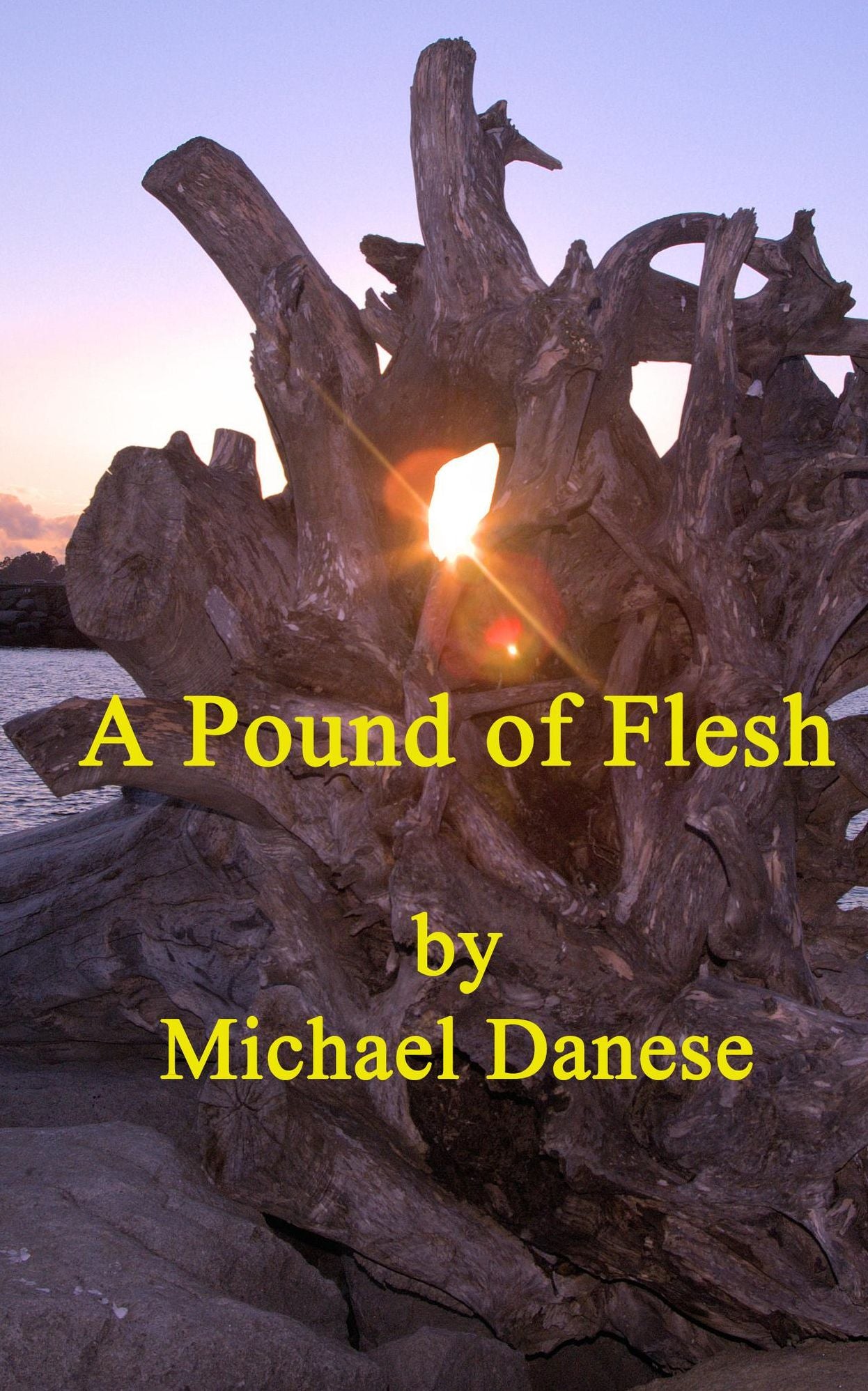 A Pound of Flesh