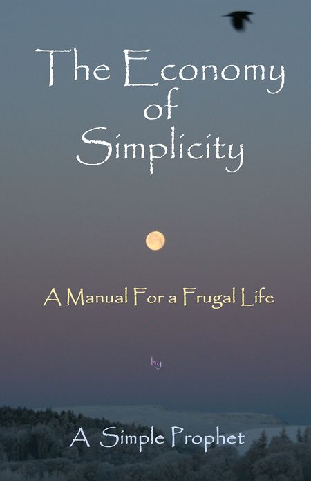 The Economy of Simplicity