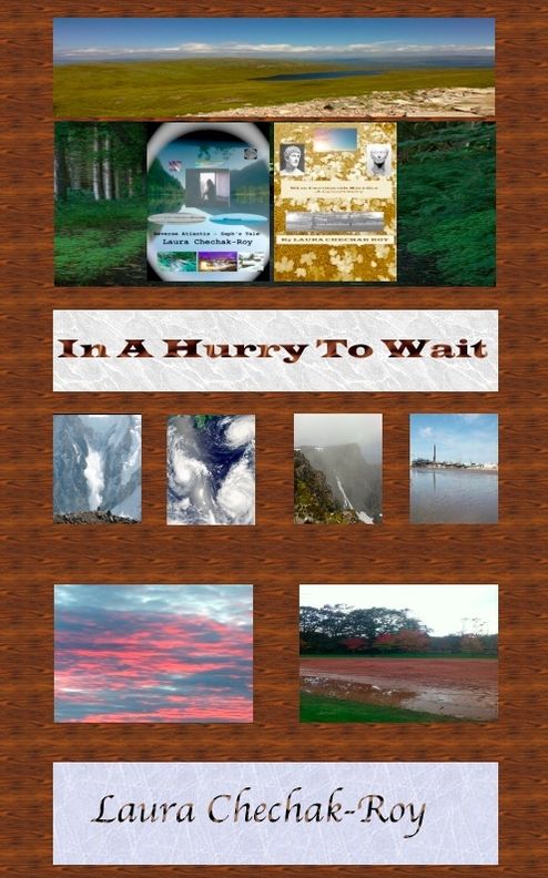 In A Hurry To Wait