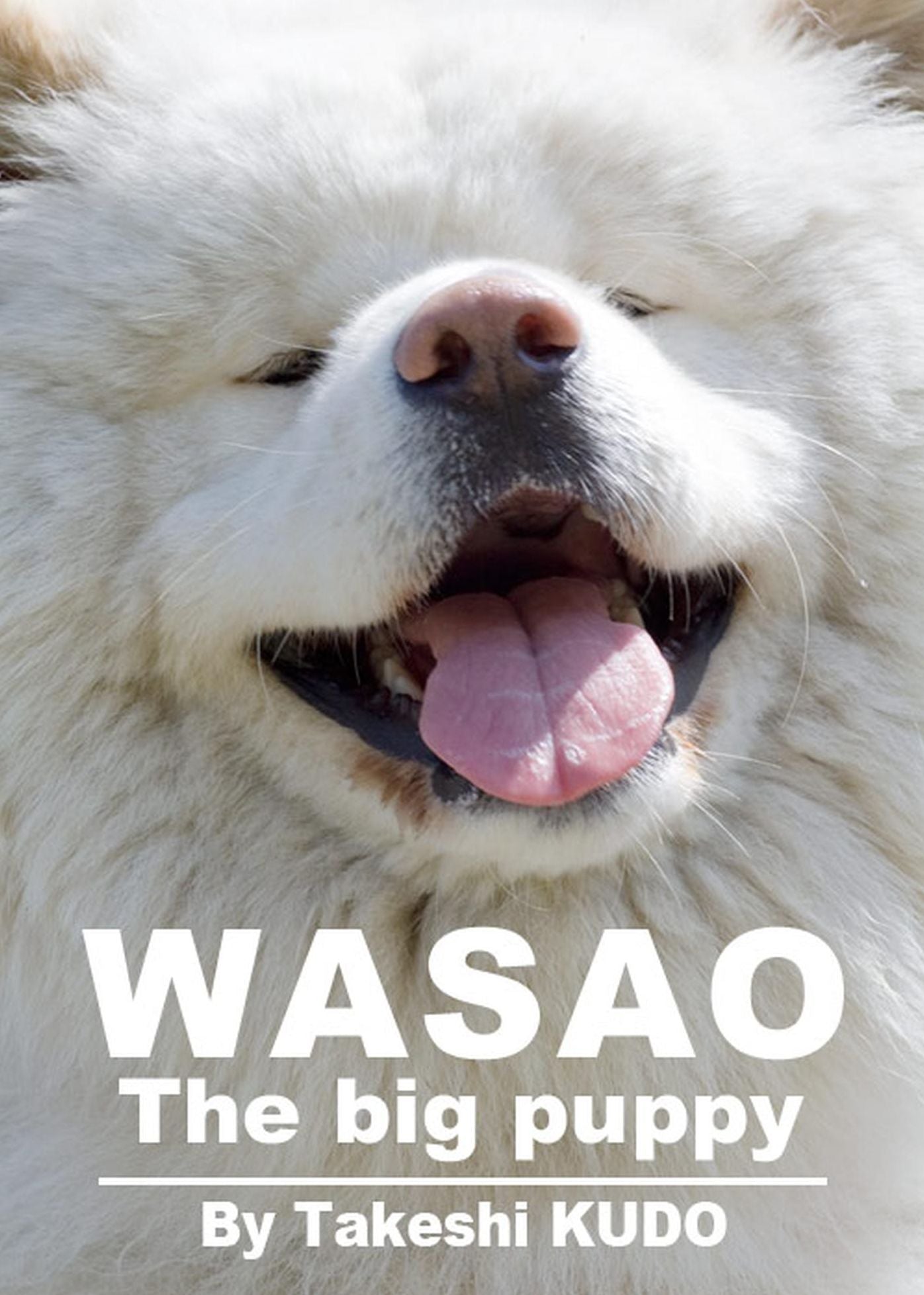 WASAO The Big Puppy