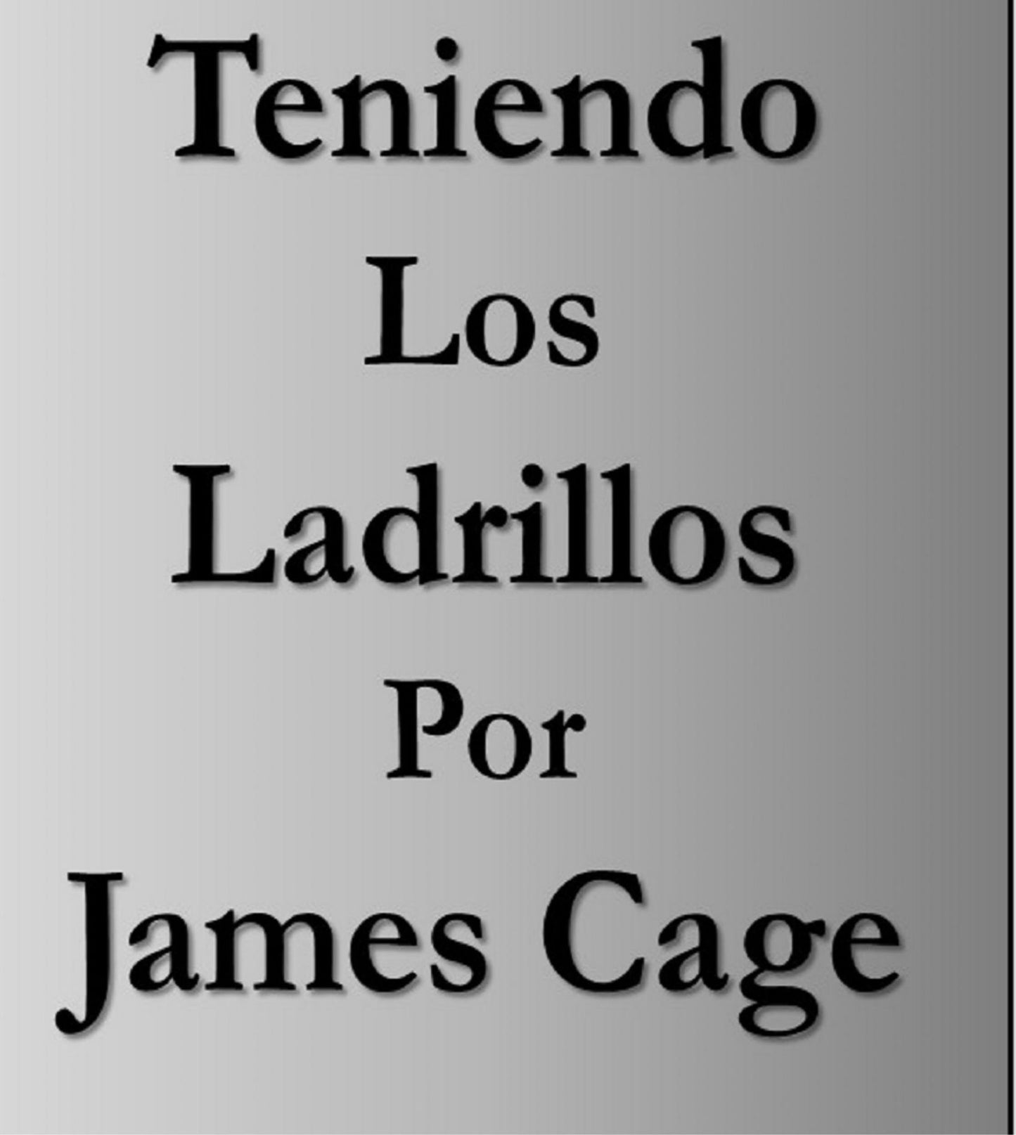 Teniendo los Ladrillos