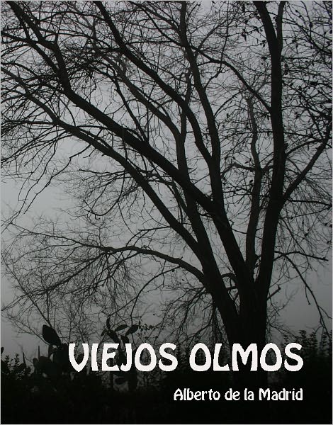 Viejos olmos