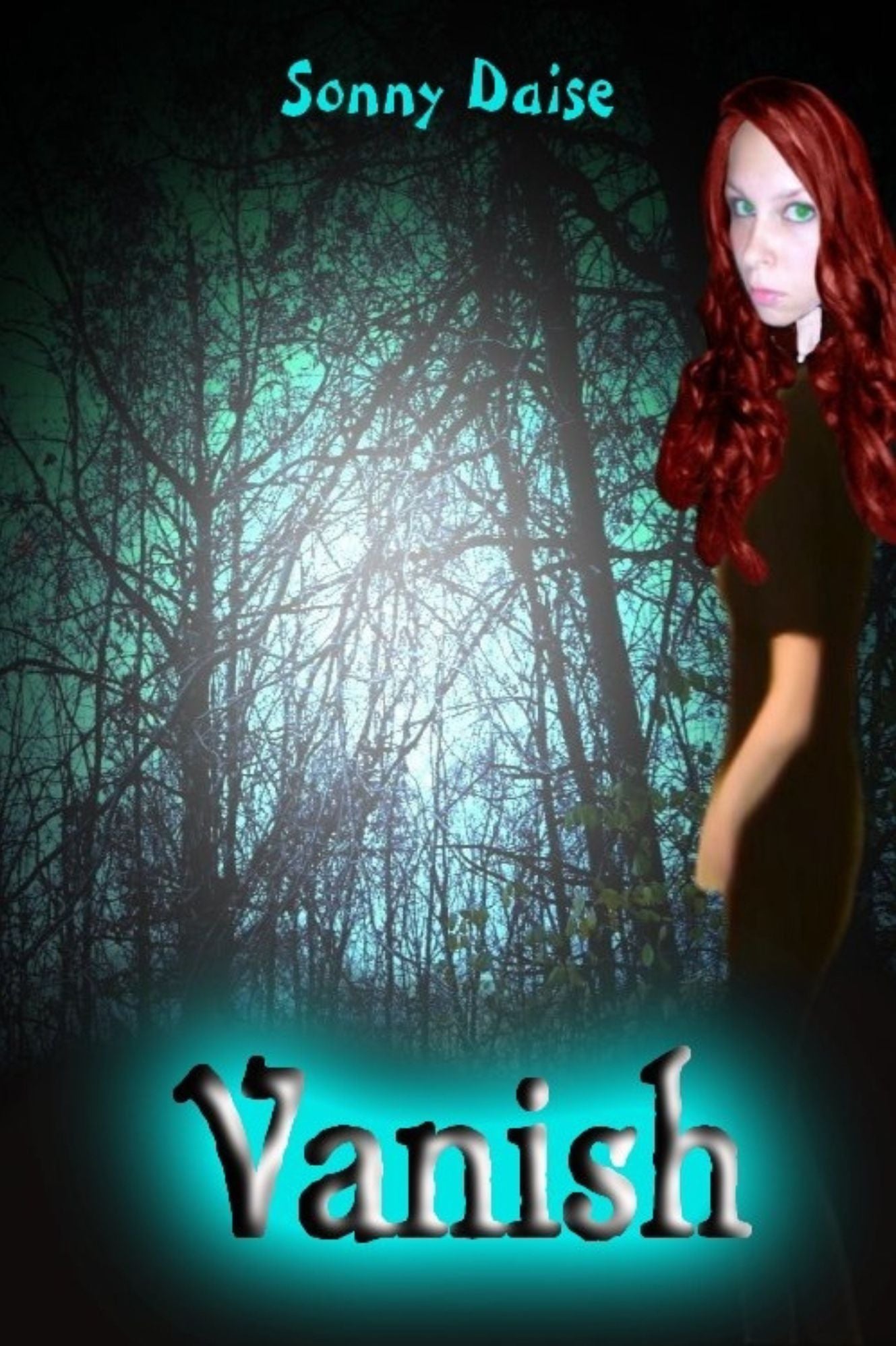 Vanish (Book One)