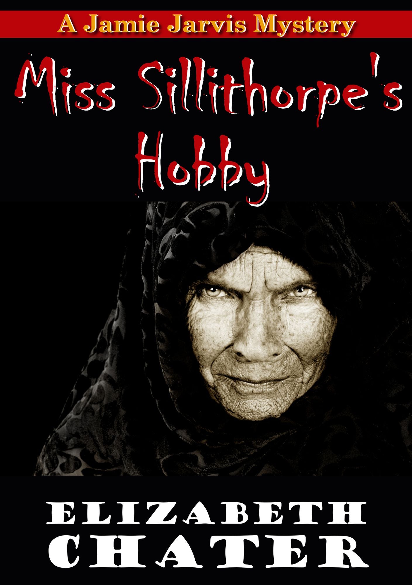 Miss Sillithorpe's Hobby