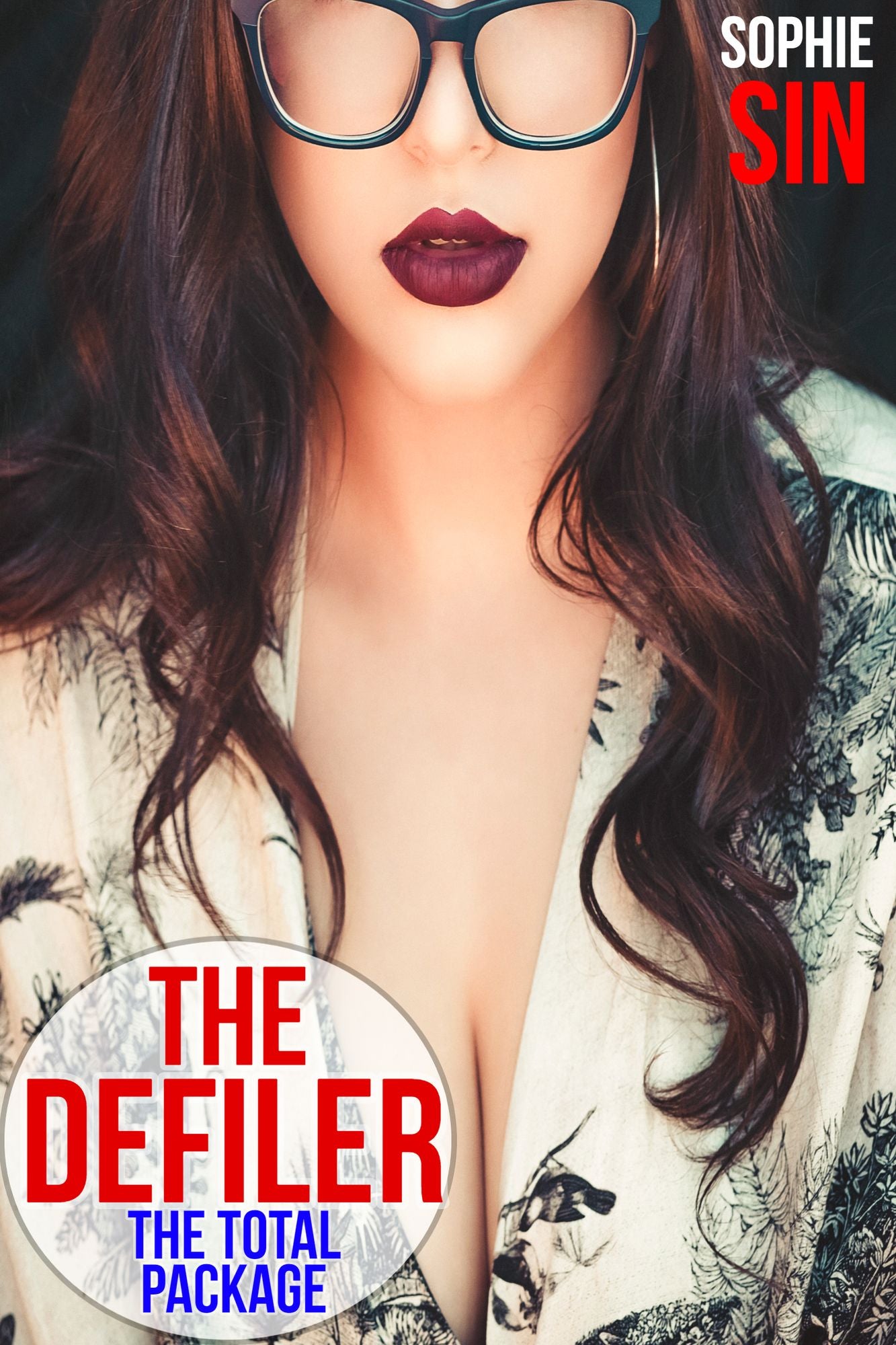 The Defiler: The Total Package (12 Erotic Stories)