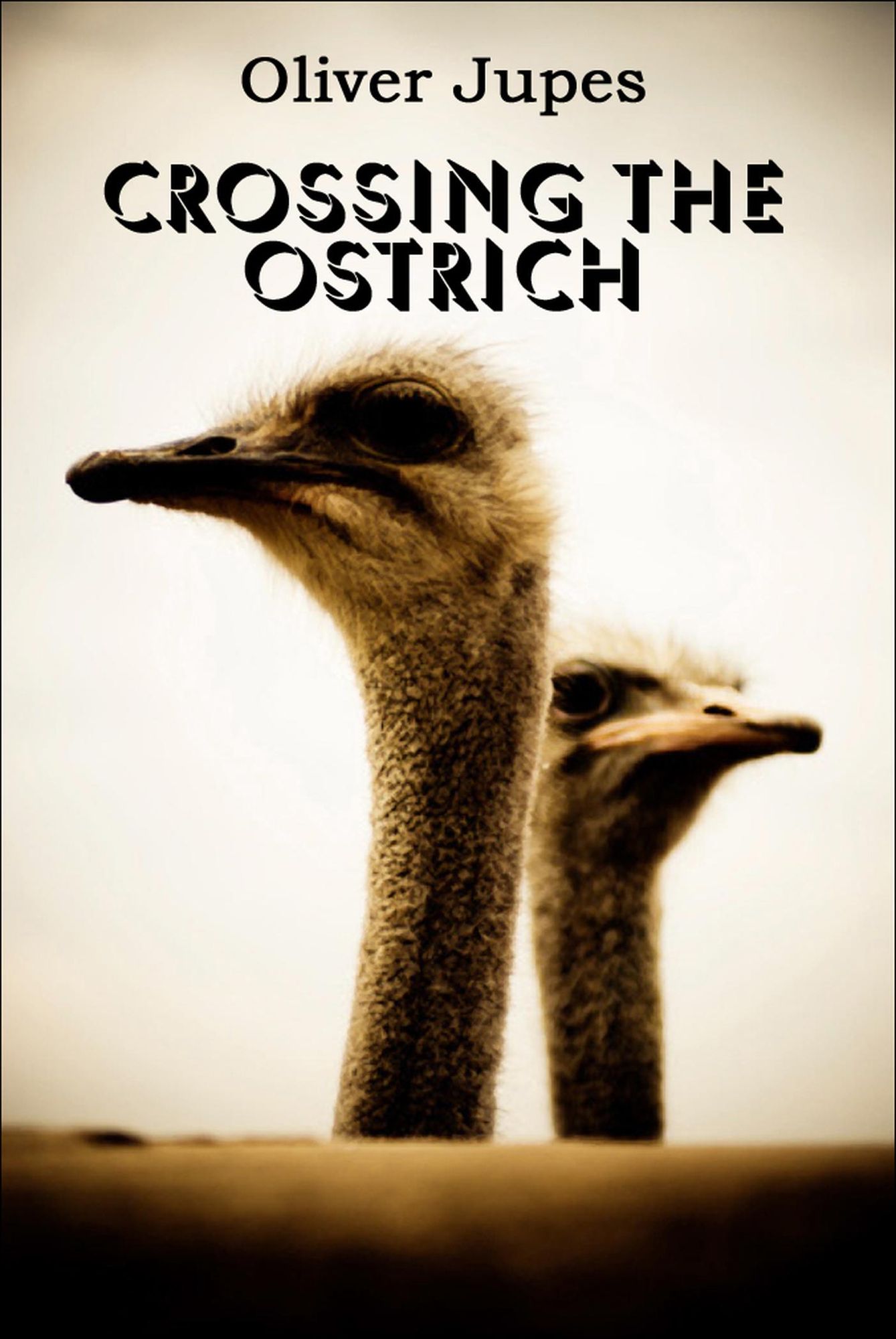 Crossing The Ostrich