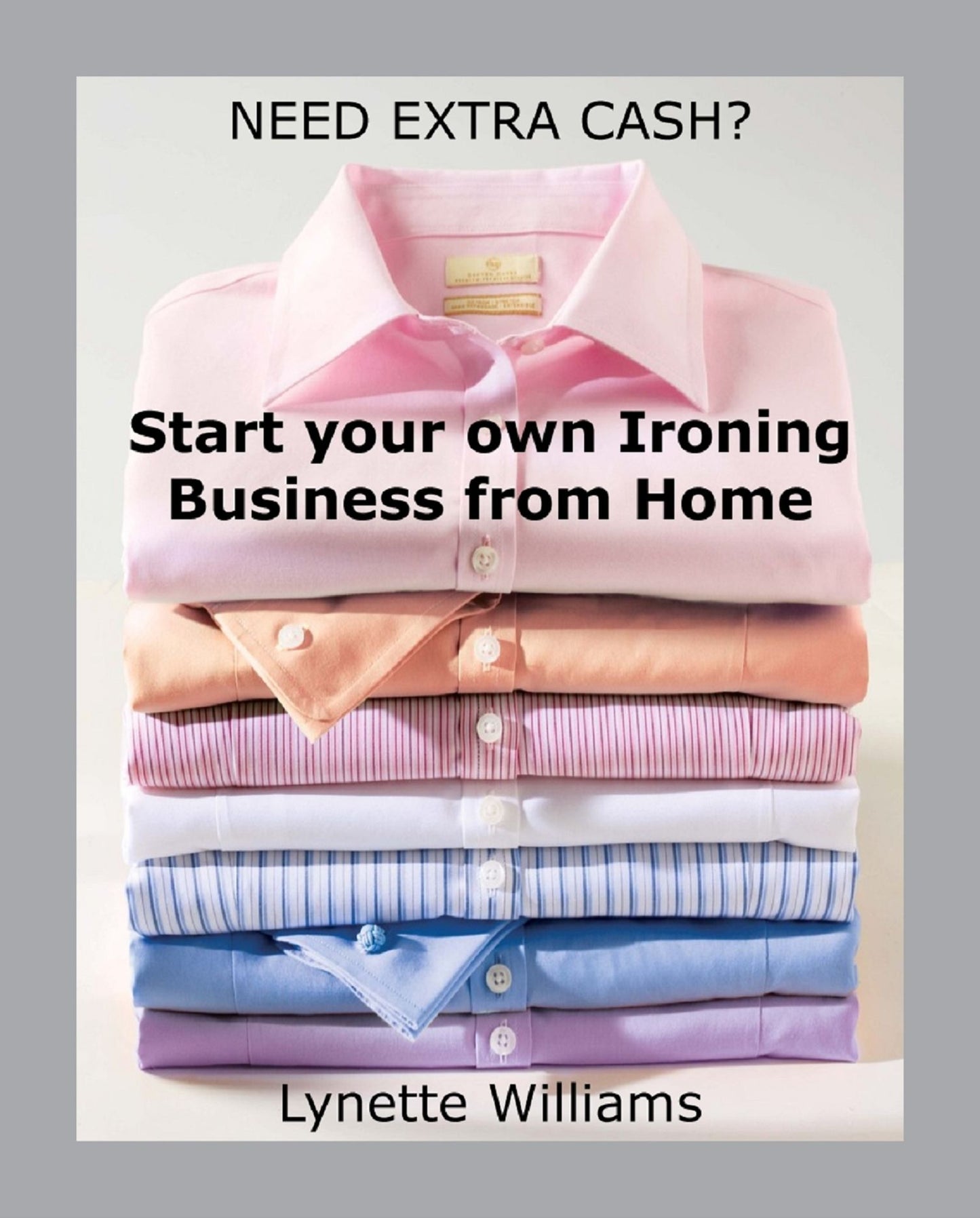 NEED EXTRA CASH? Start Your Own Ironing Business from Home