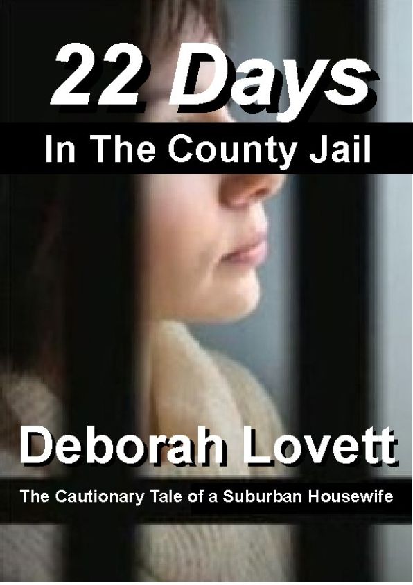 22 Days in the County Jail