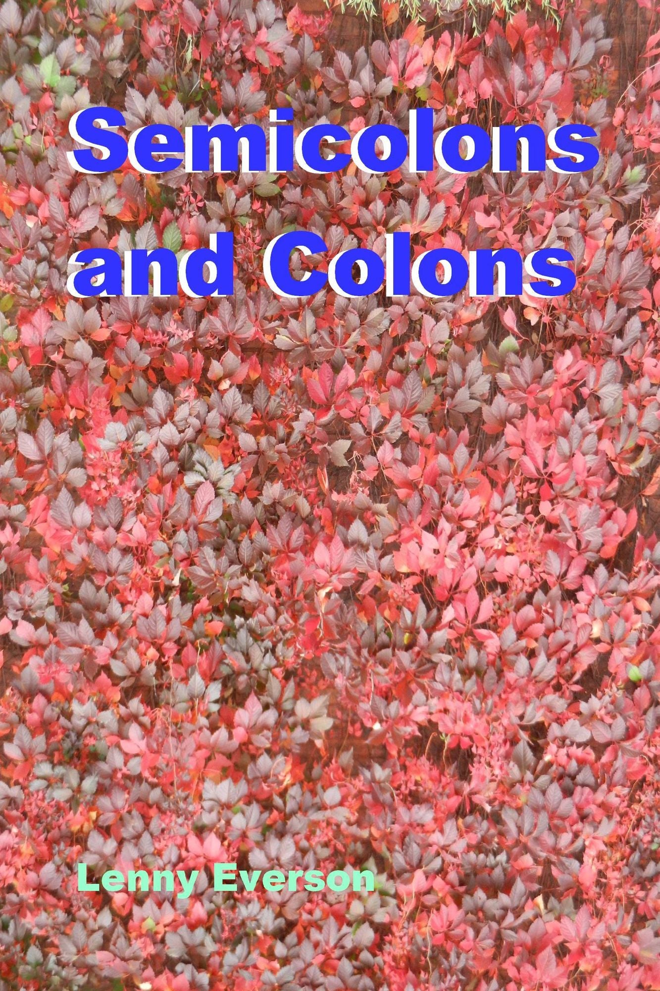 Semicolons and Colons: A Guide for the 21st Century